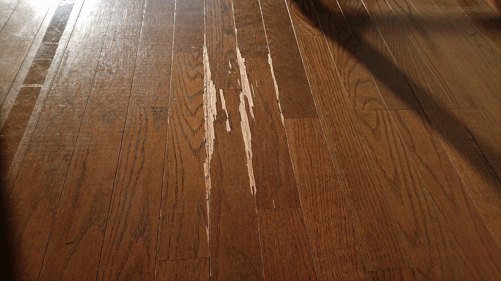 H301213_tintai_senmon_3