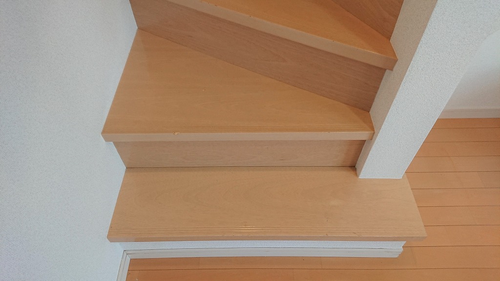 H310115_tintai_senmon_15