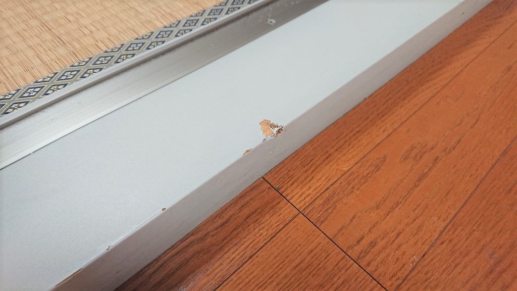 H310331_tintai_senmon_2