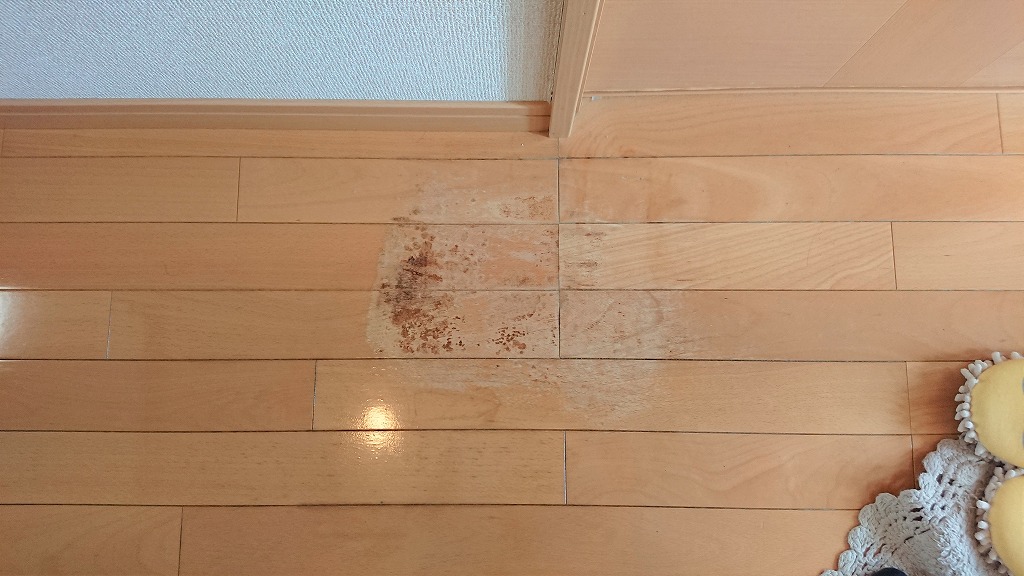 R010711_tintai_senmon_37_9