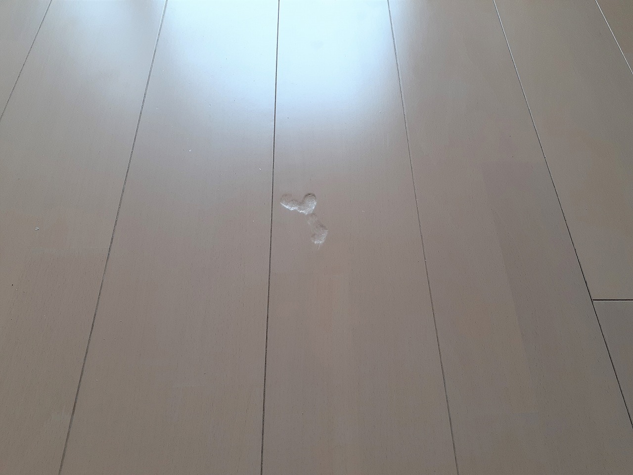 tintai_senmon_100_11